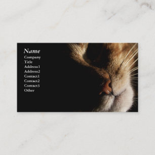 Cat - Business cards