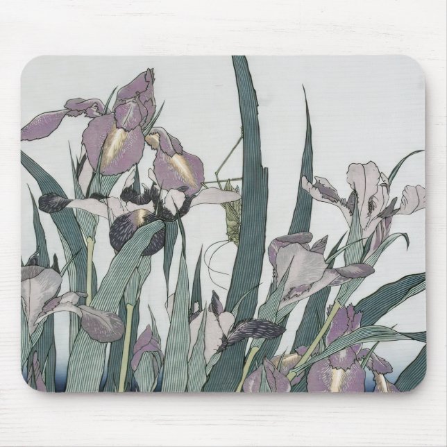 Cat & Butterfly, XuGu (Zhu Huairen) Mouse Mat (Front)