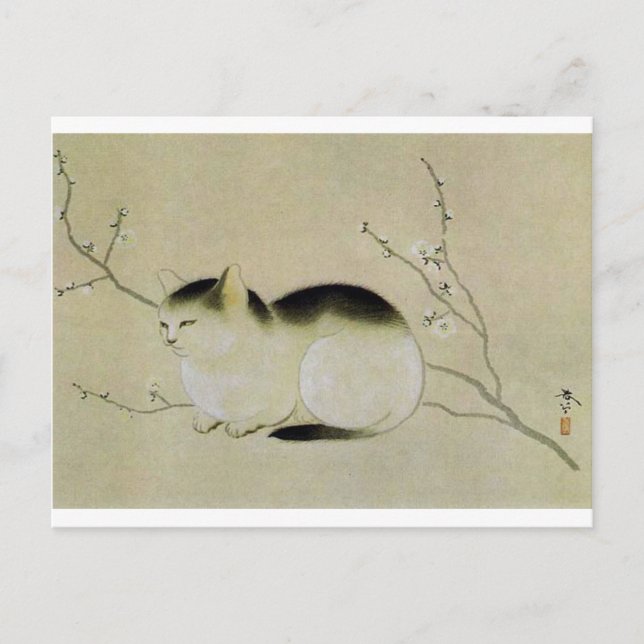 Cat by Hishida Shunso Postcard (Front)