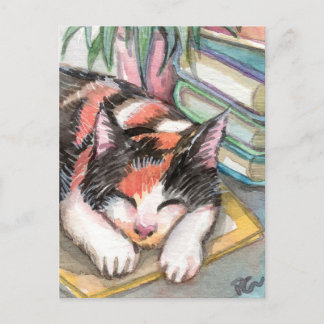 Cat by the Books Postcard