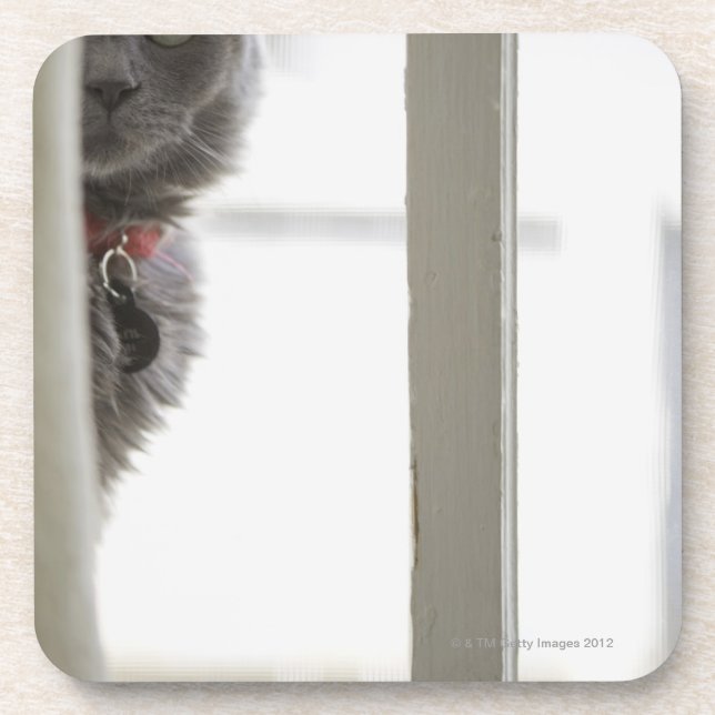 Cat by window coaster (Front)