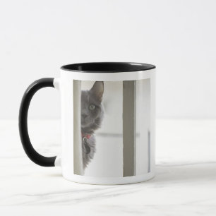 Cat by window mug