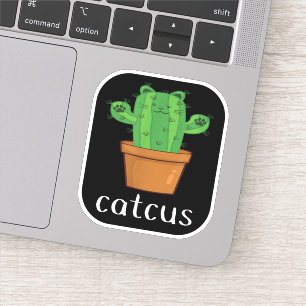CAT CACTUS - CATCUS  Funny Cat