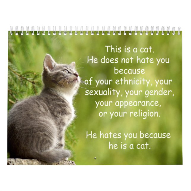 Cat Calendar (Cover)