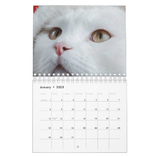Cat Calendar