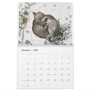 Cat Calendar 2023