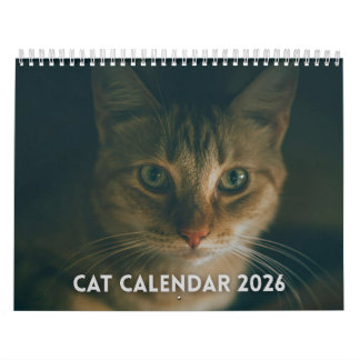 Cat Calendar 2026