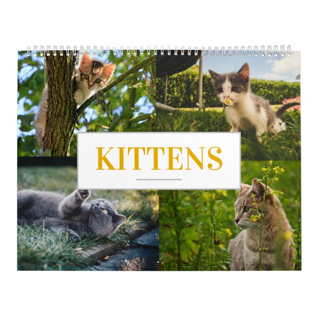 Cat Calendar Feline Calendar Home Wall a (Cover)