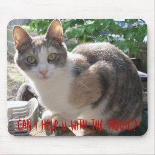 CAT: Can I Help U With The Mouse? Mouse Mat