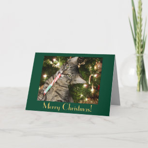 Cat Candy Cane Blank Christmas Card