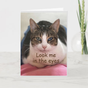 CAT CAN'T BELIEVE YOU ARE "60" CARD