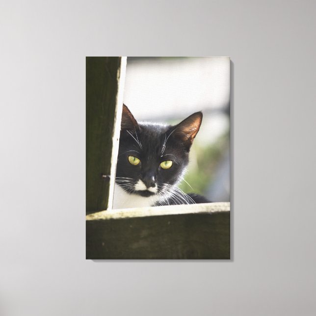 Cat Canvas Print (Front)