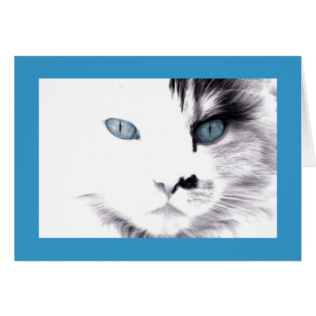 Cat Card (Front Horizontal)