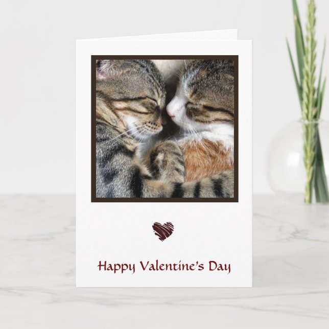 Cat Card (Front)
