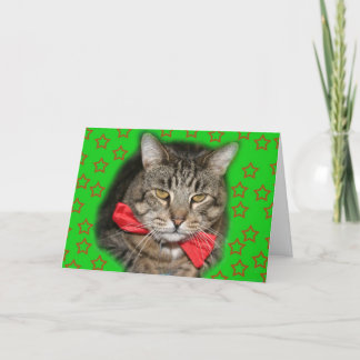 cat card