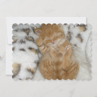 Cat Card