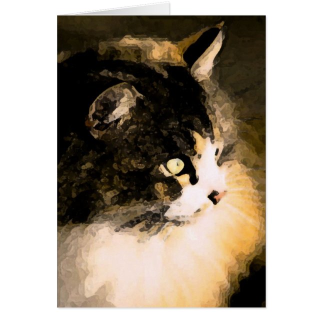 Cat Card (Front)