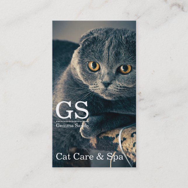 Cat Care Pet Boarding And Spa Business Card (Front)