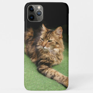 Cat iPhone 11 Pro Max Case