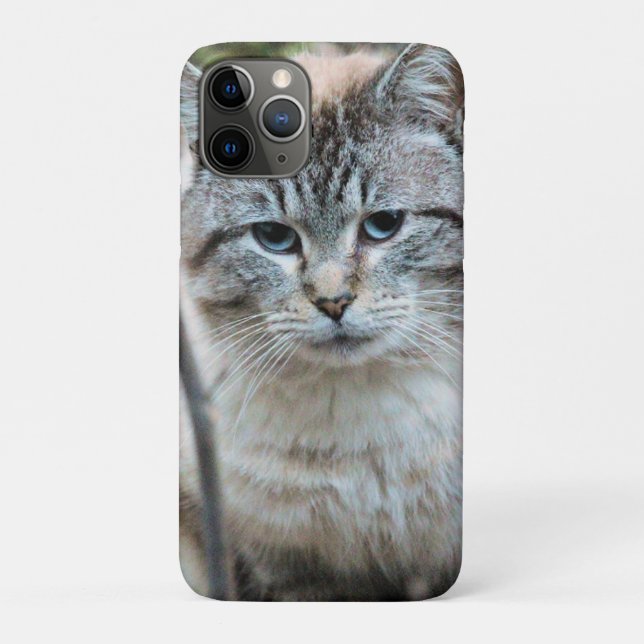 Cat Case-Mate iPhone Case (Back)