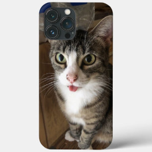 Cat iPhone 13 Pro Max Case
