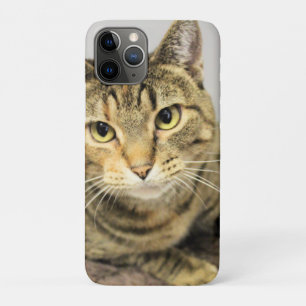 Cat iPhone 11 Pro Case