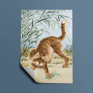 Cat Catching A Frog Poster