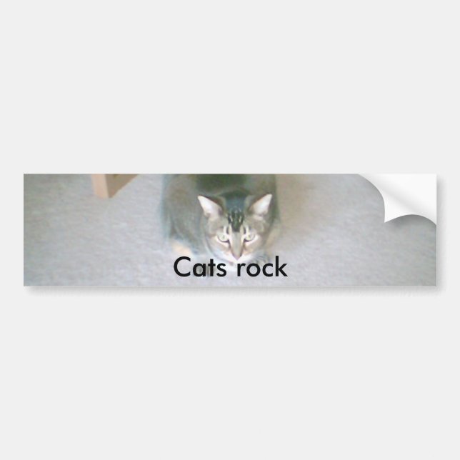 Cat, Cats rock Bumper Sticker (Front)