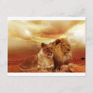 Cat Cats wild stripe print diy Anniversaries Postcard