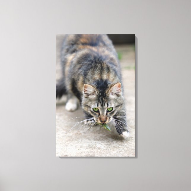 cat caught a lizard canvas print (Front)