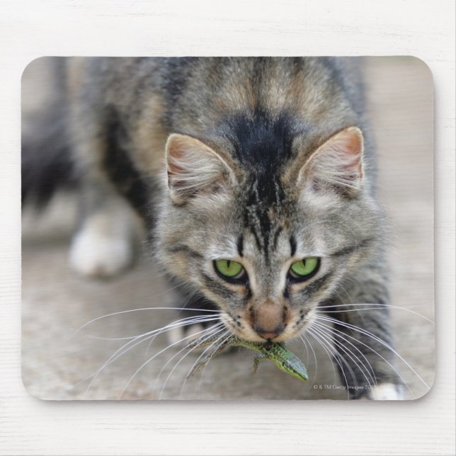 cat caught a lizard mouse mat (Front)