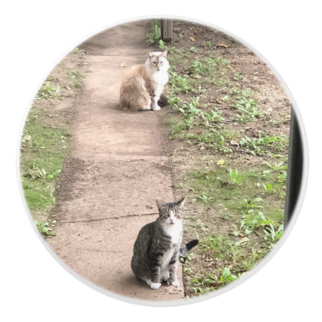 Cat Ceramic Knob (Front)