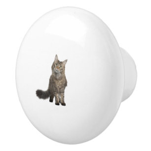 Cat Ceramic Knob