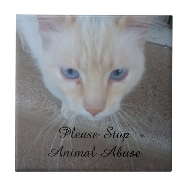 Cat Ceramic Tile (Front)