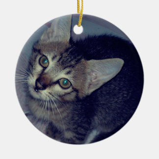 Cat Ceramic Tree Decoration