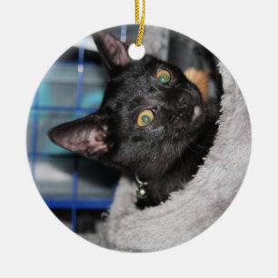 Cat Ceramic Tree Decoration