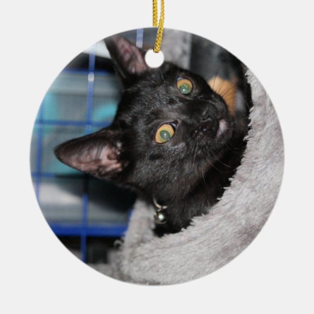 Cat Ceramic Tree Decoration (Front)
