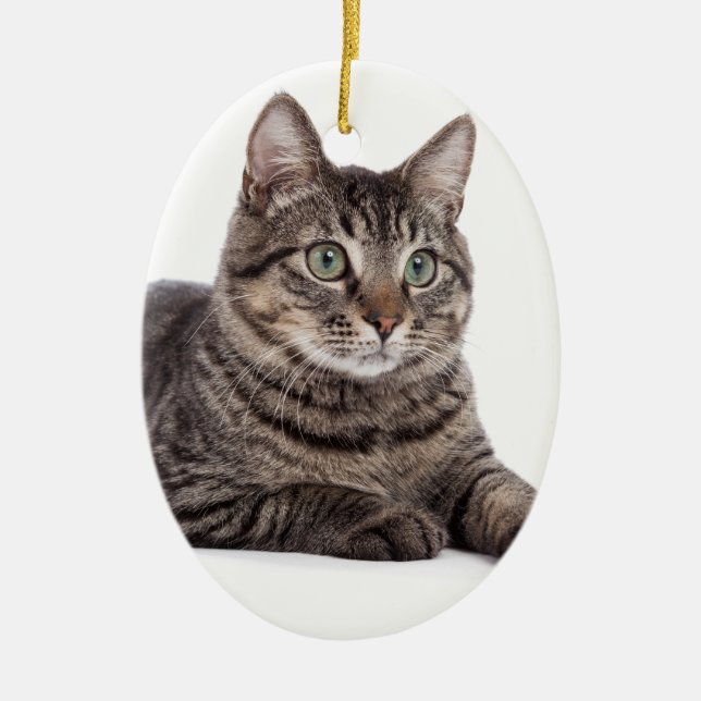 Cat Ceramic Tree Decoration (Front)