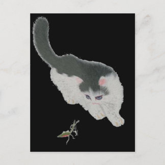 Cat Chasing Cricket Postcard
