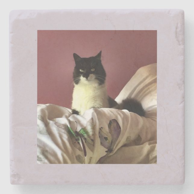 Cat chillax stone coaster (Front)