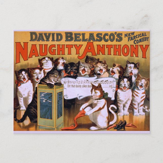 Cat Chorus! - Postcard (Front)