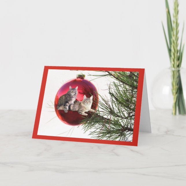 Cat Christmas Card (Front)