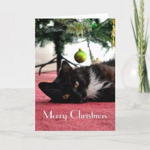 Cat Christmas Card