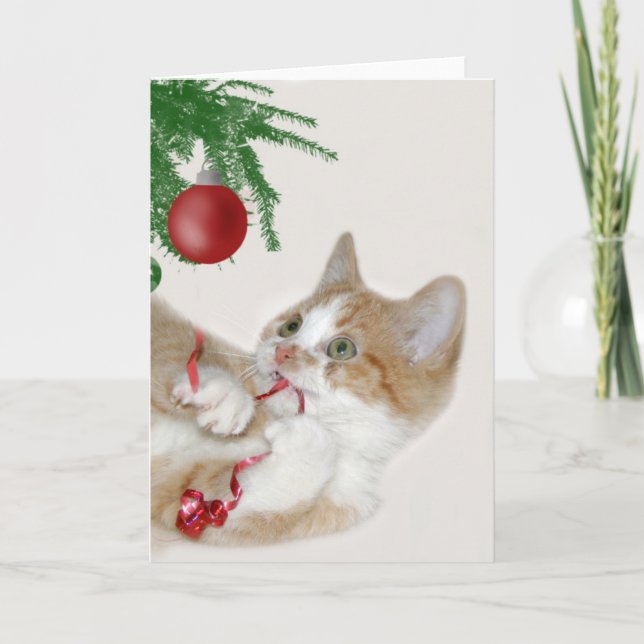 Cat Christmas fun Holiday Card (Front)