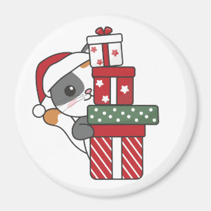 Cat Christmas Gift Winter Animals Cats Magnet