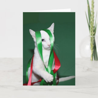 Cat Christmas help Holiday Card