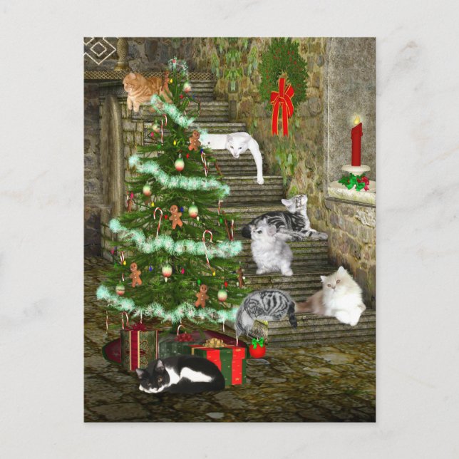Cat Christmas Holiday Postcard (Front)