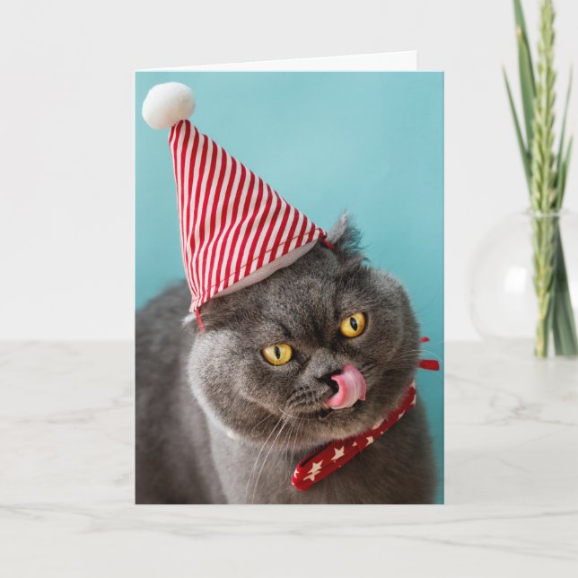 Cat Christmas Humour Card (Front)