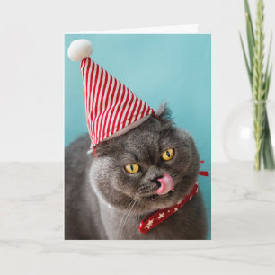 Cat Christmas Humour Card