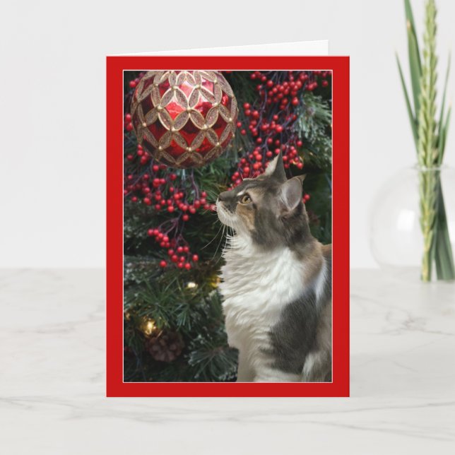 Cat Christmas ornament funny greeting card (Front)